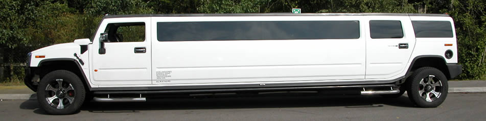 Opera Lights for limousines